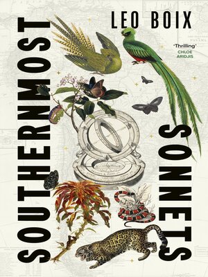cover image of Southernmost